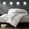 sleeprove Noiseless King Size Down Comforter,Medium Weight All-Season Duvet Insert
