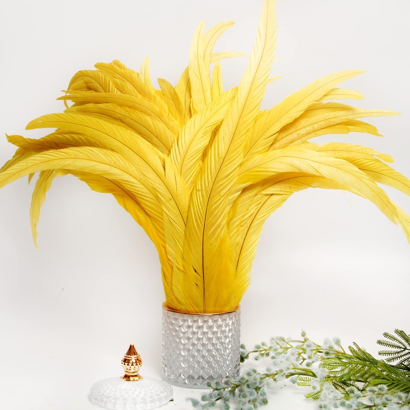 THARAHT 50PCS Rooster Coque Tail Feathers Bulk Natural 12-14Inch 30-35cm