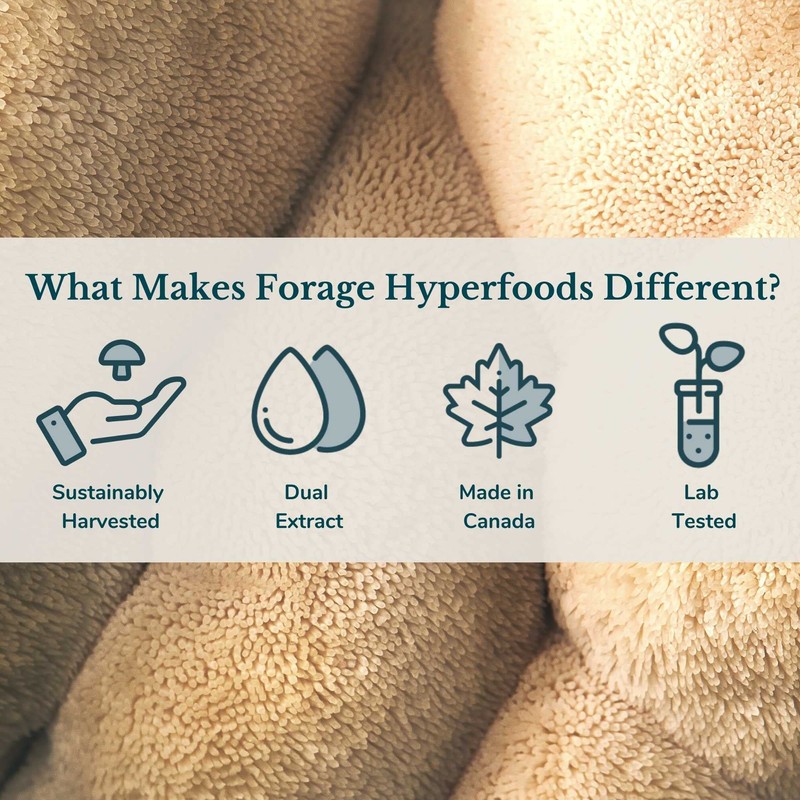 Forage Hyperfoods - Lion’s Mane Tincture, With Premium Mushroom Extract,