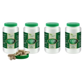 VITA IDEAL Vegan® YAMS - Wurzel - 4x 360 KAPSELN - Dioscorea - Tagesportion 840mg Yamswurzel reines Pulver. Natürlich, pflanzlich und ohne Zusatzstoffe