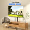 XINLEI Mobile TV Stand with Wheels for Most 32-75 Inch