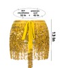 Sequin Skirt Fringe Skirt Belly Dance Hip Skirt Rave Party