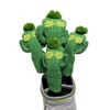 RIKI & ROI Headcover Cactus [Single Item] (for FW5)