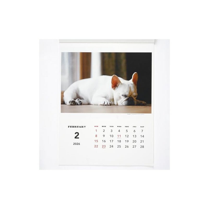 Greeting Life 2026 Calendar Natsuhiko Family Wall Hanging C-1741-NA