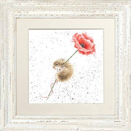 Wrendale Designs Distressed White Poppy Framed Picture