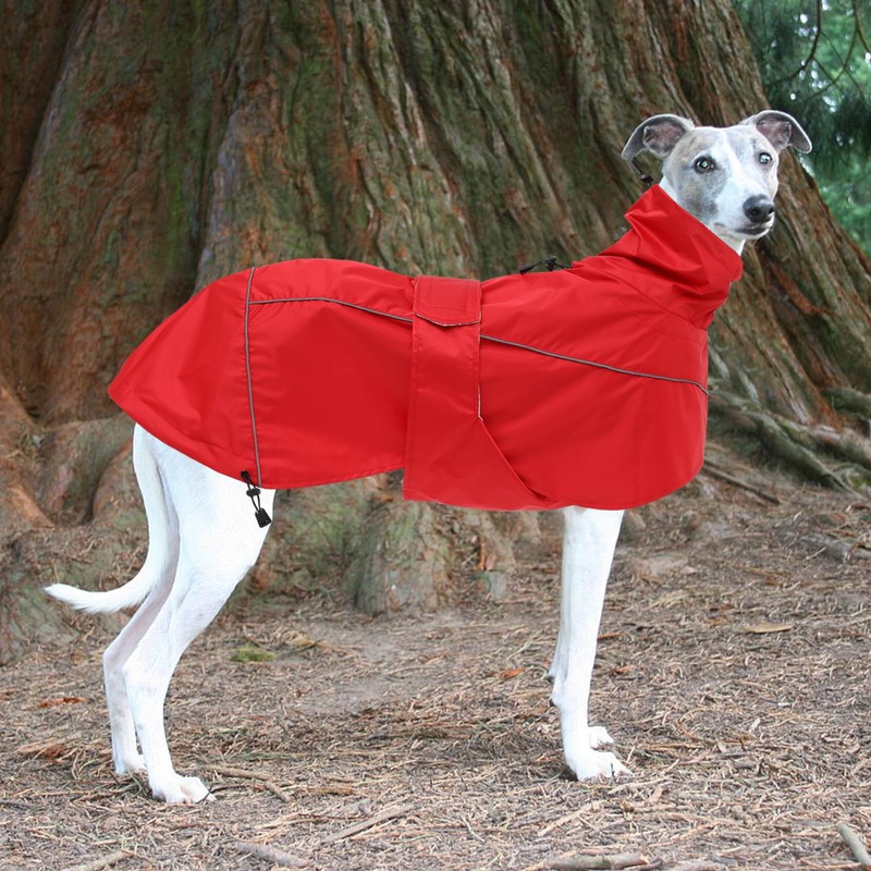 Greyhound Lurcher Raincoat, Whippet Rain Gear with Reflective Bar, Rain/Waterproof,