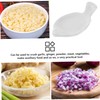 CIYODO Ginger Garlic Grater Plate Ceramic Grinding Tool for Fruits