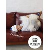 CB Japan Carari Zooie Collection Towel Cap, Polar Bear, Absorbent,