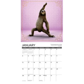 Willow Creek Press Sloth Yoga Monthly 2025 Wall Calendar (12" x 12")