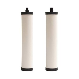 Doulton M15 UltraCarb Ceramic Drinking Water Filter Candle for Franke 02, Franke Triflow, Filterflow, All 1st Gen Steel and 2nd Gen Plastic Housings ¦ FRX01 ¦ 10 inch ¦ M15 Thread ¦ W9223021 (2 Pack)