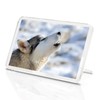 1 x Fridge Magnet -Howling Husky Wolf Classic Fridge Magnet