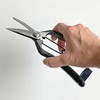Kinboshi 2501 Venus Pruning Bud Shears, 7.1 inches (180 mm),