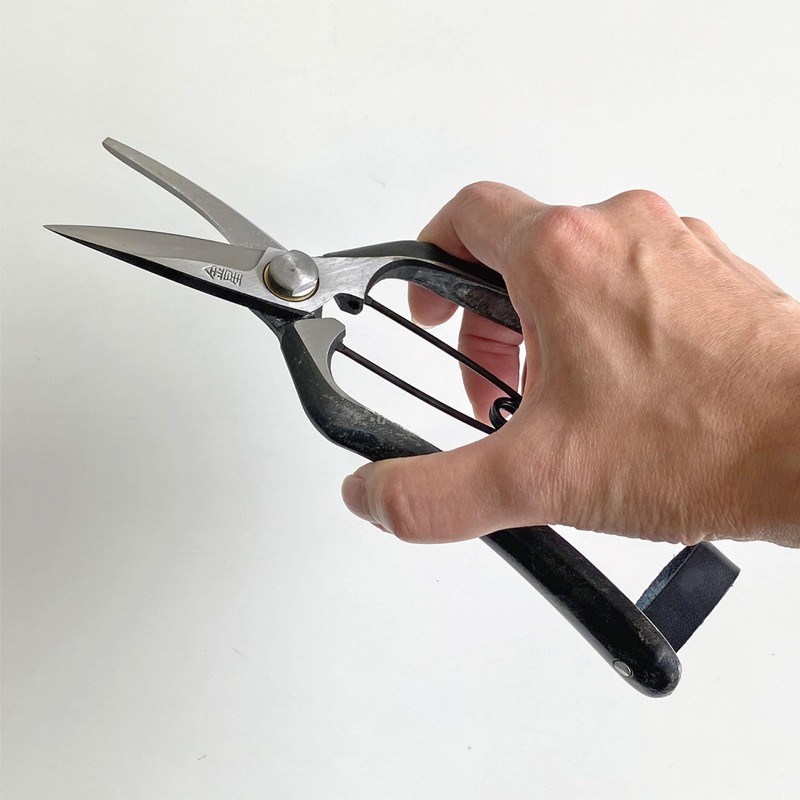 Kinboshi 2501 Venus Pruning Bud Shears, 7.1 inches (180 mm),
