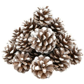 24 PCS Christmas Pine Cones Decorations - Pine Cones Ornaments in 3 Sizes with Strings for Table Tree Home DIY Gift Tag Wreath Garland Fall Wedding Decor (24, White)
