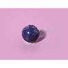 Pretty Skin Blueberry Lip Balm 9g / 프리티스킨 블루베리 립밤