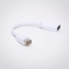FireFold Mini-DVI to HDMI Adapter - Video Adapter Cable AD-MDVI-HDMI