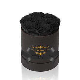 NATROSES 7 Piece Preserved Roses in a Box, Preserved Flowers for Birthday, Flower Gifts for Mothers Day (Black)