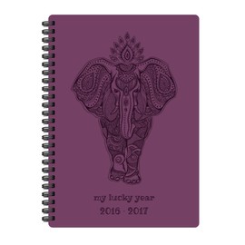 Pierre Belvedere Wire Bound Printed Medium Academic Agenda (4400031)