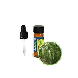 3.7ml (1/8oz) Black Birch (Sweet) Bark Essential Oil (Betula Lenta)