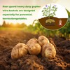 Yoption 6 Pack Plant Root Guard Baskets, Reusable Stainless Steel