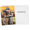 CardFool - Funny Cat Birthday Card for men, women -