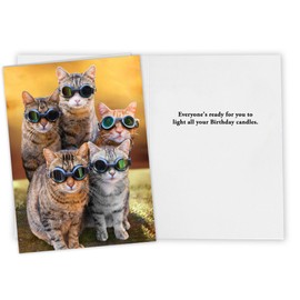 CardFool - Funny Cat Birthday Card for men, women - hilarious greeting card for a bright candle celebration