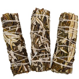 Salvia Blanca - White Sage | Natural Frankincense | Traditional Incense Chamber | Energy Cleansing | Protection | Organic and Natural | 3 Holy Grass, Sage