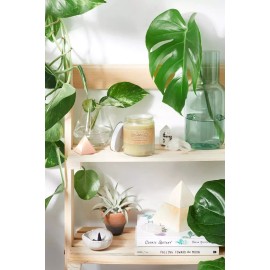 Butter Me Up Organics Sensitive Skin Cream / Patches / Organic skin helper