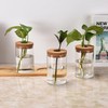 Window Garden Desktop Plant Terrarium Vase with Lid, Set of