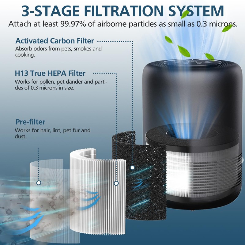 BS-01 True HEPA H13 Replacement Filter Compatible with Slevoo BS-01