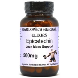 Barlowe's Herbal Elixirs EPICATECHIN Lean Mass Support | 500mg | 60 Veggie Capsules | Glass Bottles
