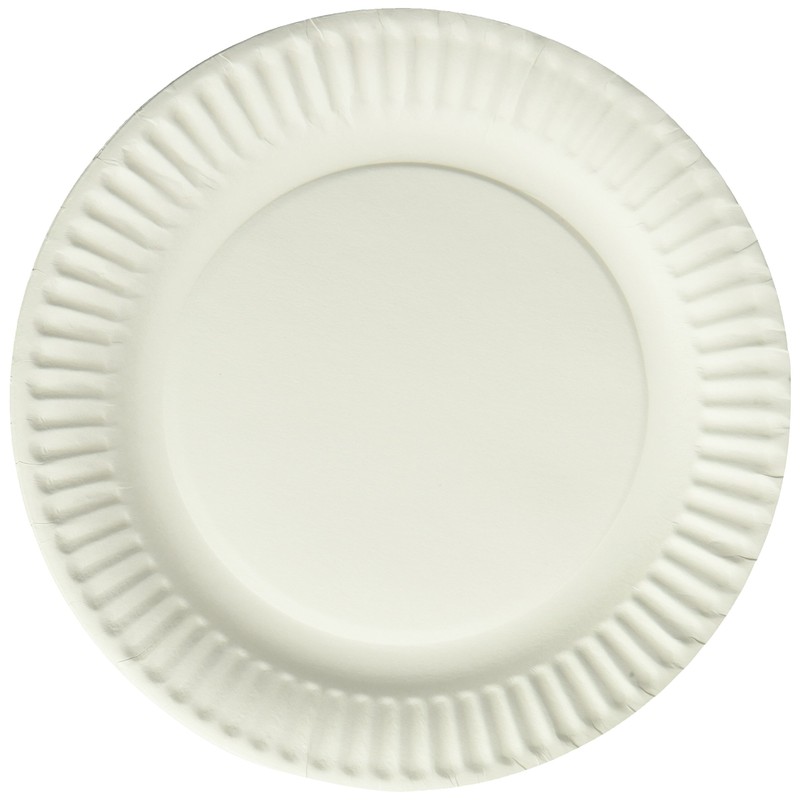 Empress Uncoated Paper Plate, 9 Inches, White, Pack of 100
