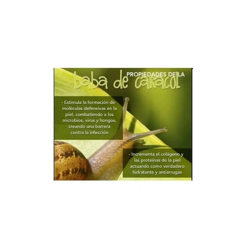 Baba De Caracol Corporal Sheló-antiestrías