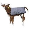 Agritura Calf Coat Ripstopp,back length 70 cm - A24921