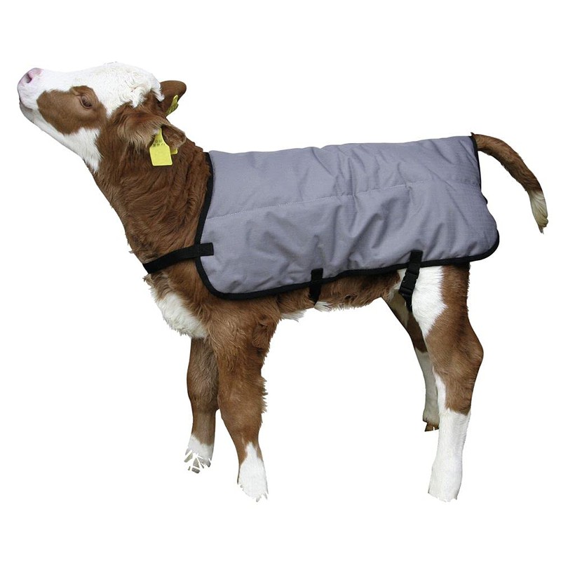 Agritura Calf Coat Ripstopp,back length 70 cm - A24921