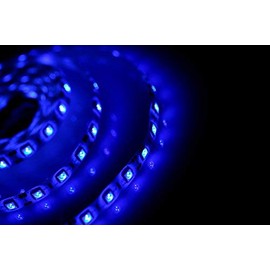 Blue Waterproof Flexible LED Strip Light, 300 LED's, 3528 SMD, Blue, 16.4 feet / 5M