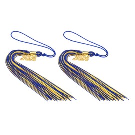 PATIKIL 2 Pcs Graduation Tassel with 2024 Gold Charm, Graduation Cap Tassel 2024 Year Graduation Tassels for Graduation Party Ceremonies Souvenir, Blue mixed with Golden