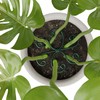 Yeomant 4PCS Iron Monstera Support, Uniquely Designed Plant Support Stakes
