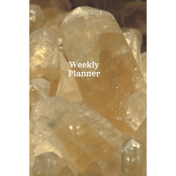 A5 Weekly Planner book: Sweet Pumpkin Press - 120 interior