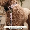 Lucy & Co. Dog Collar - Durable Lightweight Designer Collar
