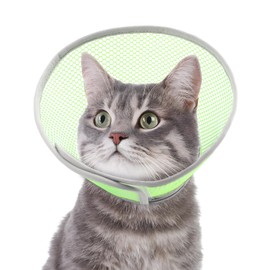 Joypig Cat Cone Collar Soft to Stop Licking After Surgery, Waterproof Lightweight Recovery Collar for Cats and Small Dogs, Elizabeth Plastic Cone Alternative, Neck Pillow to Prevent Scratches
