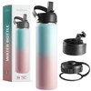 Brewberry Stainless Steel Insulated Water Bottle and Travel Mug for