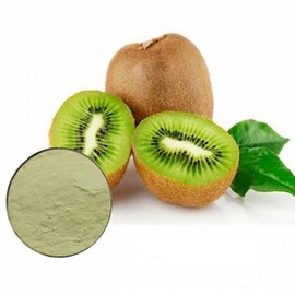 Kiwi Concentrate Powder 100g Sample