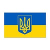 CafePress Ukrainian Flag Rectangle Car Bumper Magnet