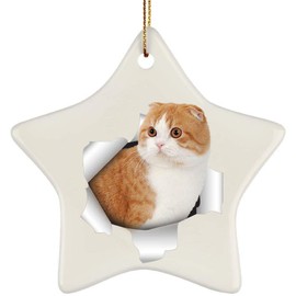 Funny Scottish Fold Cat Red Coming Out of Cracked Wall Gifts 2024 Christmas Tree Ornaments Ceramic Star