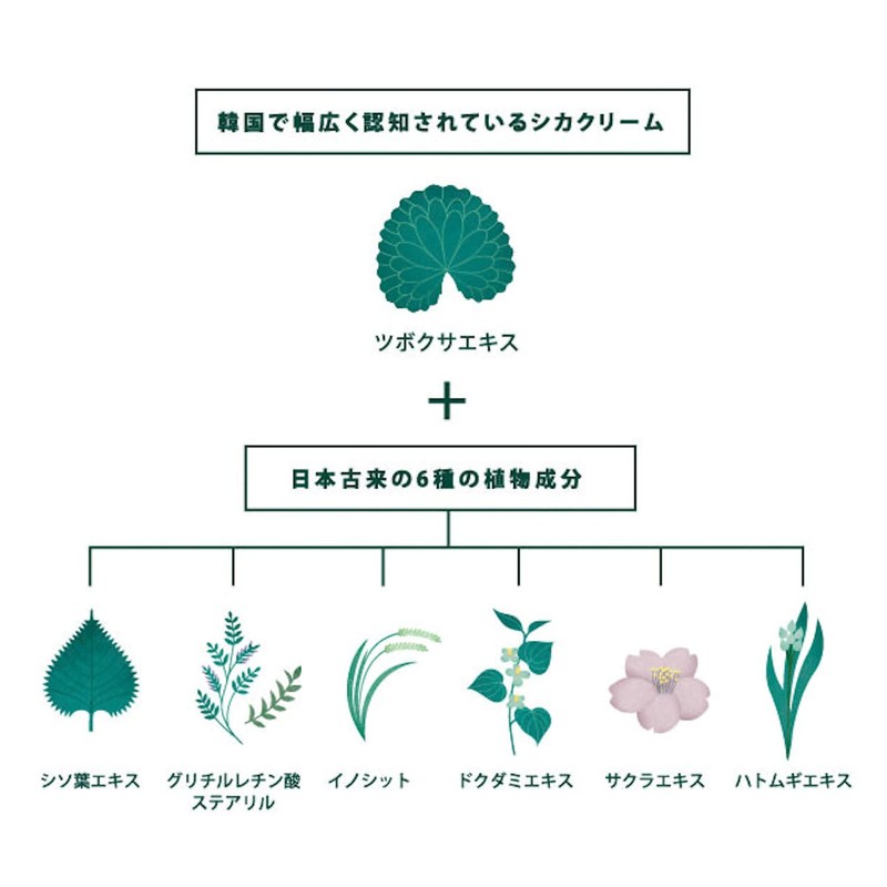 Cogit CICA Method CREAM 3.5 oz (100 g)