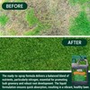 Medina HastaGro Liquid Lawn Fertilizer - 12-4-8 Liquid Fertilizer for