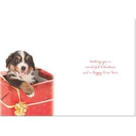 doodlecards Mother Christmas Card Dog in Parcel Medium Size Christmas Card for Mother with Plain Envelope