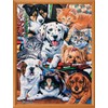 MasterPieces 300 Piece EZ Grip Jigsaw Puzzle - Hide and