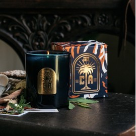 Jackson Vaughn Vintage California Candle - Scents of Coastal Redwood, Salted Sea Air, and Golden Poppy Buds - 11oz Jar - 45 Hour Burn Time